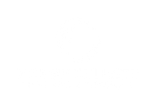Madre Celeste — Tradição e Inovação